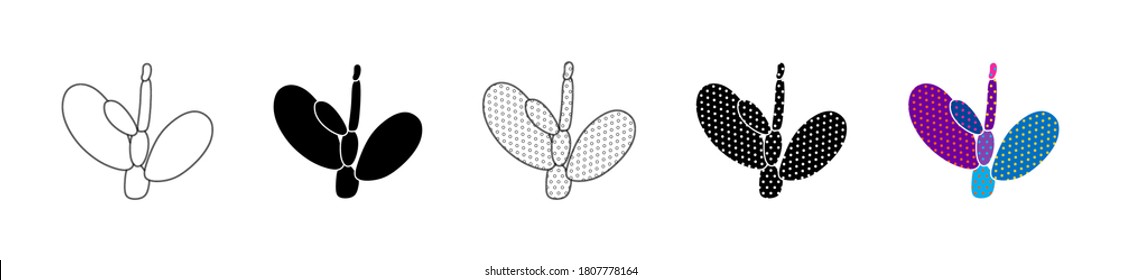 Vector illustration of cacti isolated on a white background. Icons, silhouettes of cacti. Mexican desert cactus, tropical plants, summer garden. Abstract creative decorative cactus, succulent, aloe