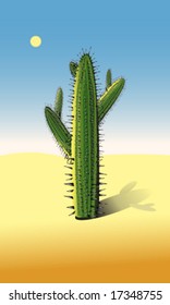 vector illustration of cactus
