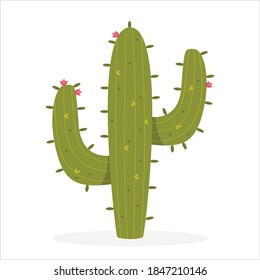 vector illustration of a cactus