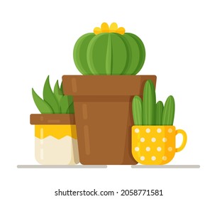 Vector illustration of cactus concept. Beautiful room flowers in vases. 