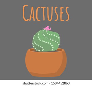 Vector illustration of a cactus in a cute pot