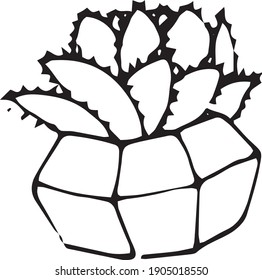 Vector illustration of cactus. Doodle, cartoon, cute