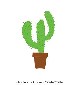 Vector illustration of cactus in floral pot or planter. Houseplant on white background