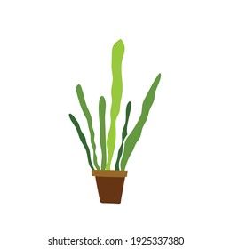 Vector illustration of cactus in floral pot. Houseplant on white background