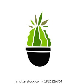 Vector illustration of cactus in floral pot. Houseplant on white background