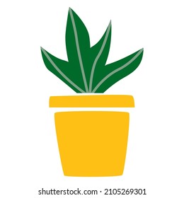 Vector illustration of cactus in flower pot. Succulent houseplant home gardening and decoration. Cacti smiling friendly character. For cards, social media, banners and printing on paper or fabric
