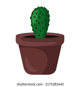 Vector illustration of cactus flowerpot, indoor flower, decorative flower