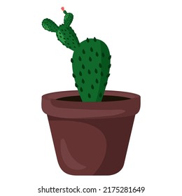 Vector illustration of cactus flowerpot, indoor flower, decorative flower