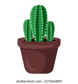 Vector illustration of cactus flowerpot, indoor flower, decorative flower