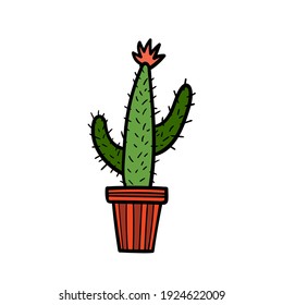 Vector illustration of cactus in foral pot. House plant on white background