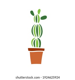 Vector illustration of cactus in foral pot. Houseplant on white background
