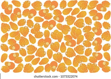 vector illustration of cactus fruit design background white and fruit EPS10