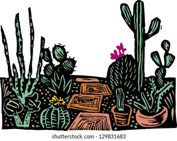 Vector illustration of cactus garden