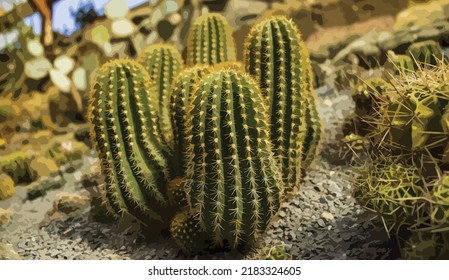Vector illustration of cactus. Green cactus with several shoots. Cactus in the greenhouse. Thorns, tropical plant.