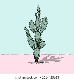 vector illustration of a cactus hand drawn