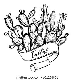 Vector illustration. Cactus. Handmade,set of plants, prints on T-shirts, tattoos, background white, postcard for you
