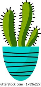 Vector illustration cactus. Mexican cacti on white background.
