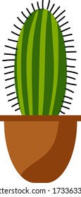 Vector illustration cactus. Mexican cacti on white background.