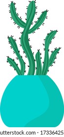 Vector illustration cactus. Mexican cacti on white background.