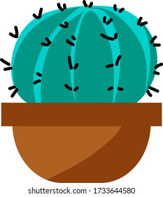 Vector illustration cactus. Mexican cacti on white background.