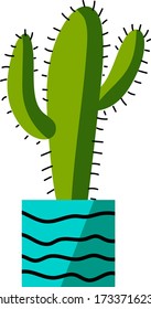 Vector illustration cactus. Mexican cacti on white background.