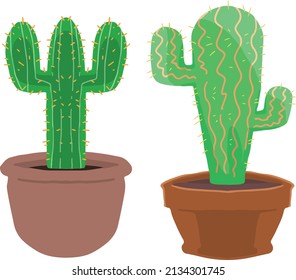 vector illustration of cactus on pots