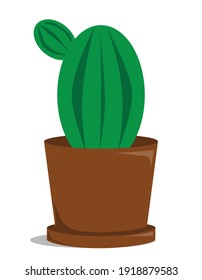 Ilustración vectorial de cactus. Planta creciendo en una olla. Ilustración de estilo plano, aislada en fondo blanco