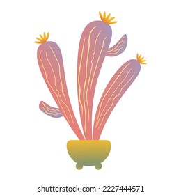 Vector illustration of a cactus plant in a pot