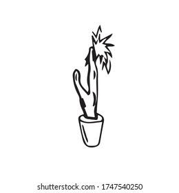 Ilustración vectorial de un cactus en una olla con líneas negras. Cactus sobre un fondo blanco. Planta de vivienda