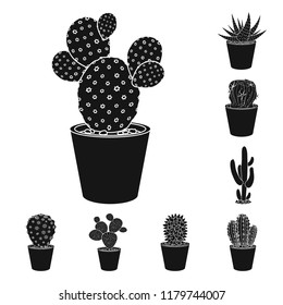 Vector illustration of cactus and pot icon. Collection of cactus and cacti stock vector illustration.