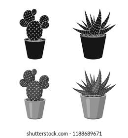 Vector illustration of cactus and pot icon. Collection of cactus and cacti stock symbol for web.