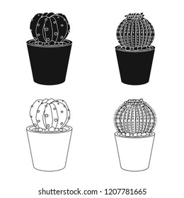 Vector illustration of cactus and pot icon. Collection of cactus and cacti stock symbol for web.