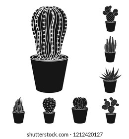 Vector illustration of cactus and pot icon. Set of cactus and cacti stock vector illustration.