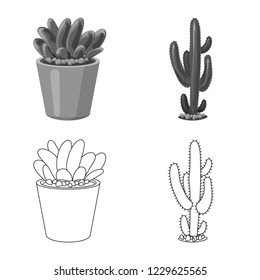 Vector illustration of cactus and pot icon. Collection of cactus and cacti stock symbol for web.