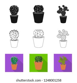 Vector illustration of cactus and pot icon. Set of cactus and cacti stock symbol for web.
