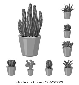 Vector illustration of cactus and pot icon. Collection of cactus and cacti vector icon for stock.