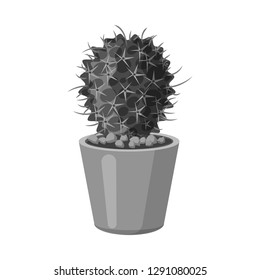 Vector illustration of cactus and pot icon. Collection of cactus and cacti stock vector illustration.