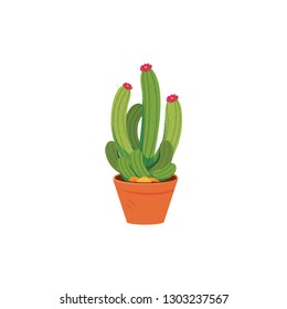 Vector Illustration Cactus Pot Icon