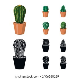 Vector illustration of cactus and pot icon. Collection of cactus and cacti stock symbol for web.