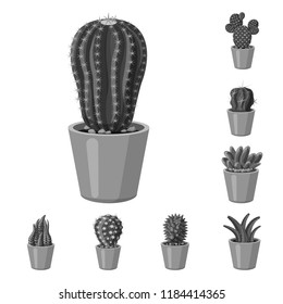Vector illustration of cactus and pot logo. Collection of cactus and cacti stock symbol for web.