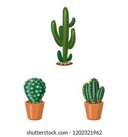 Vector illustration of cactus and pot logo. Collection of cactus and cacti stock symbol for web.