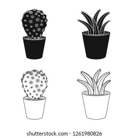 Vector illustration of cactus and pot logo. Collection of cactus and cacti stock symbol for web.