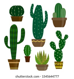 Vector illustration of cactus in pot. Set of cactus and cacti stock vector illustration.