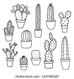 Vector illustration of cactus in pot. Set of cactus stock vector line illustration.