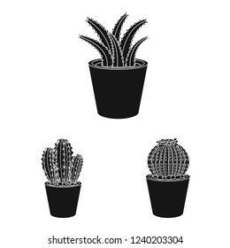Vector illustration of cactus and pot sign. Collection of cactus and cacti stock symbol for web.