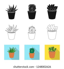 Vector illustration of cactus and pot sign. Set of cactus and cacti stock symbol for web.
