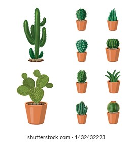 Vector illustration of cactus and pot sign. Collection of cactus and cacti stock symbol for web.