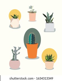 Vector illustration of cactus and pot sign. Collection of cactus and cacti vector icon for stock.