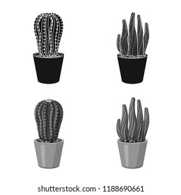 Vector illustration of cactus and pot symbol. Collection of cactus and cacti stock symbol for web.