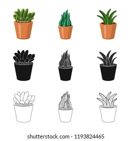 Vector illustration of cactus and pot symbol. Set of cactus and cacti stock symbol for web.